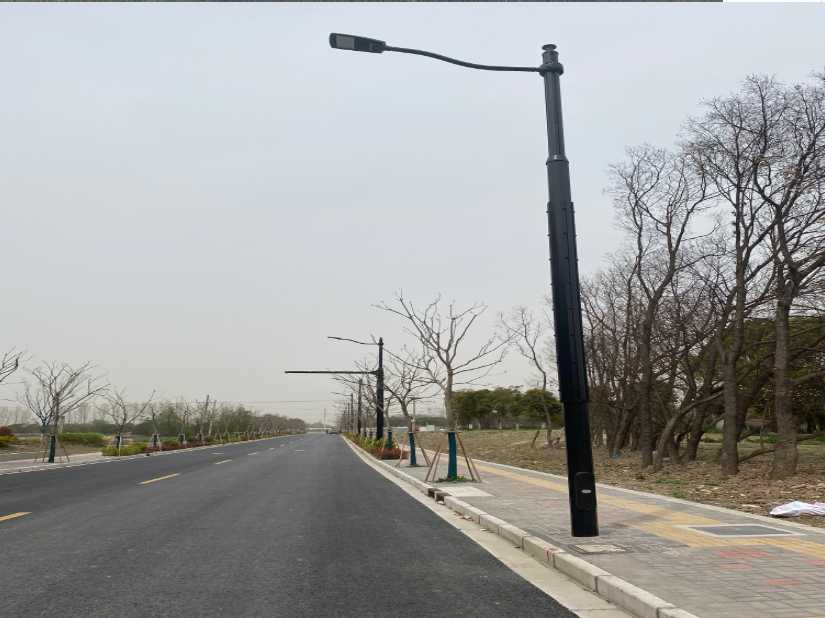 奉节县上海综合杆 太阳能路灯工程